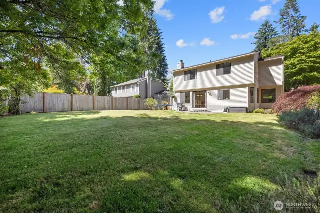 Spacious backyard with plenty of room to roam.