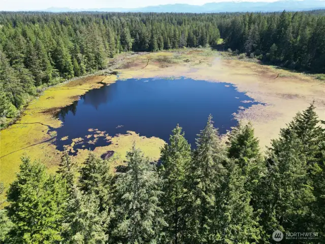 Yellow Lake, steps away from the Klahanie Lakeside Pool, Klahanie Park and 7.5 Miles of Walking and Biking trails.