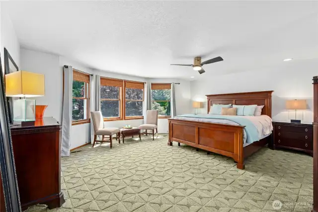 Extra largeb primary bedroom