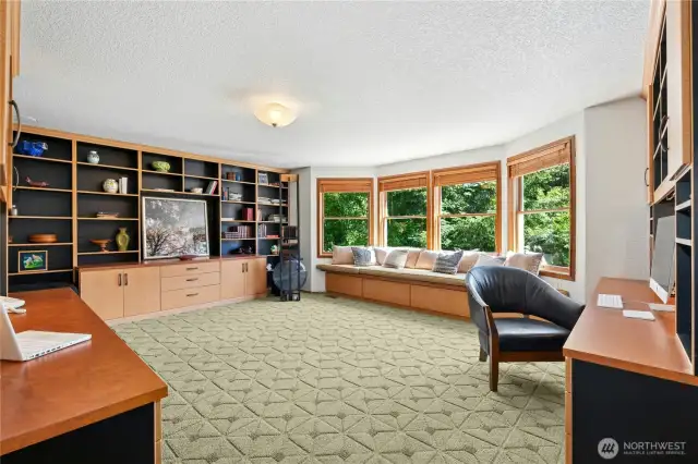 Rec Room/Bonus Room/5th Bedroom w/ closet