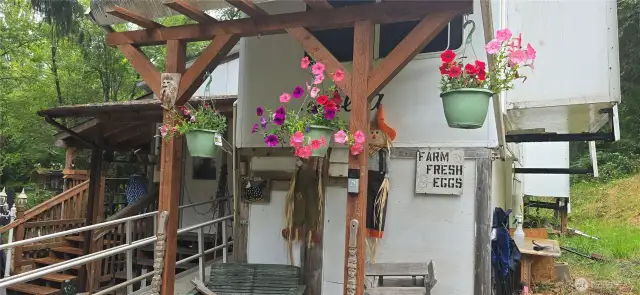 Cute set up