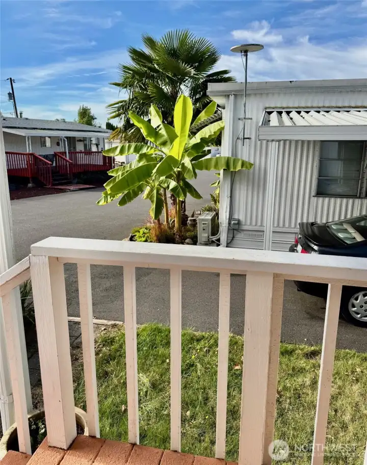 View from front porch