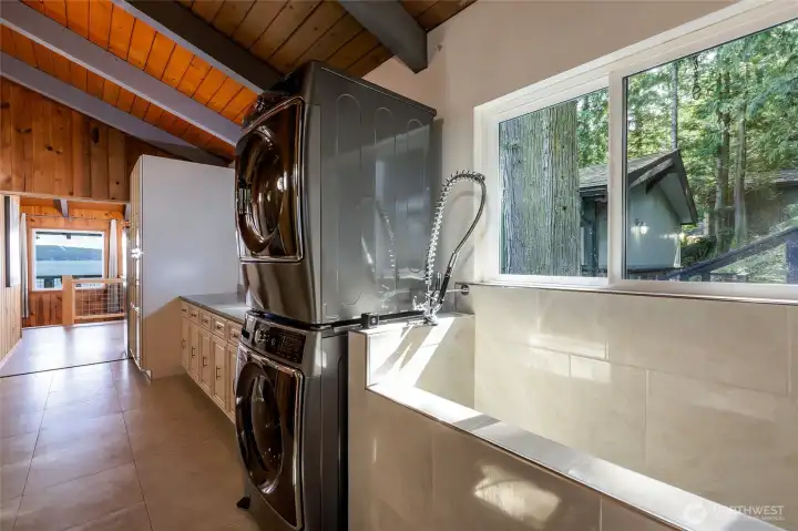 Main dog wash and laundry