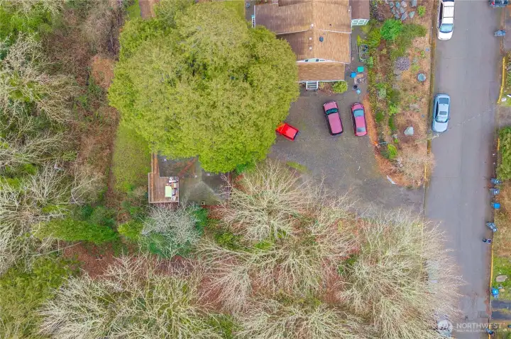 Aerial view - the home is mostly under the tree! You can see some of the roof and deck in this picture. Dead-end street, surrounded by trees, and a driveway shared with only one other home.