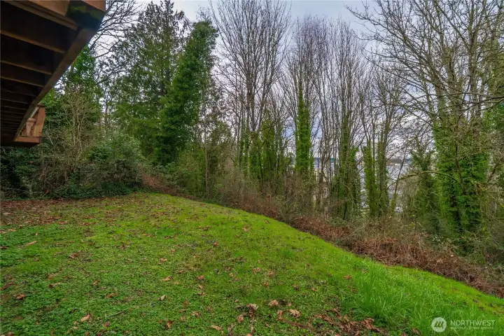 Back yard includes grass, trees, and a view.