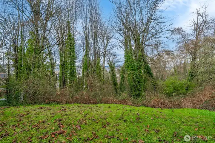 This picture isn't showing off the view as much as in person. What used to be a sweeping view, is chopped up by older trees now. When these fill in during the summer, the natural greenery offers a peaceful privacy screen.
