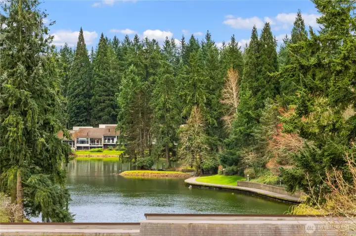 Views from the living room.