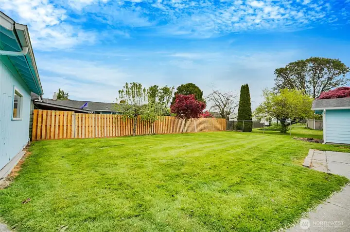 Lots of room in backyard