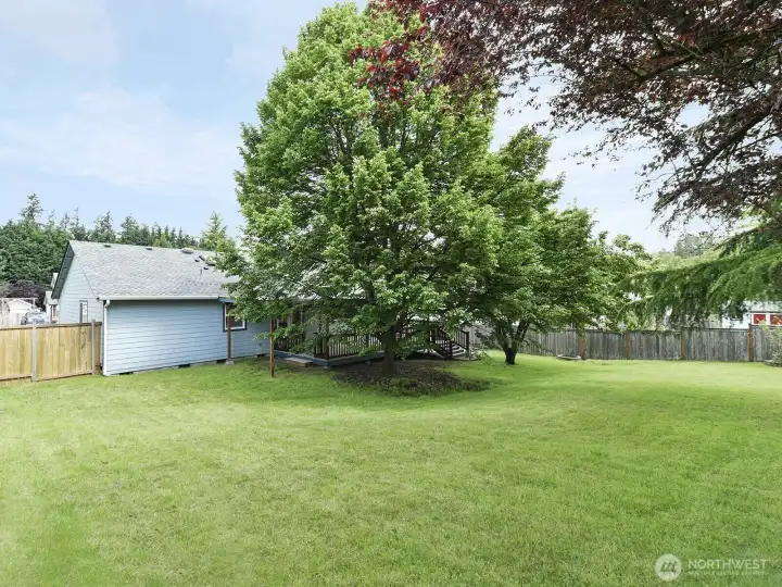 Vast, fully fenced backyard.