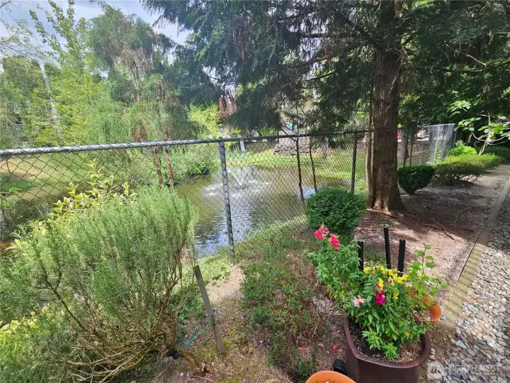 From your back door