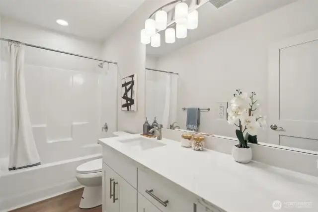 Lower level full bath