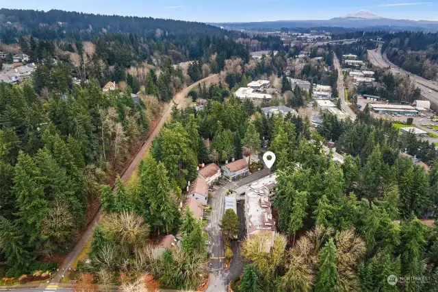 Aerial view of the Cross Kirkland Corridor/Eastrail trail.