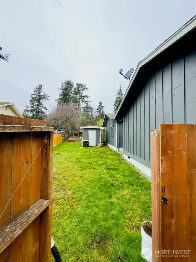 Back yard