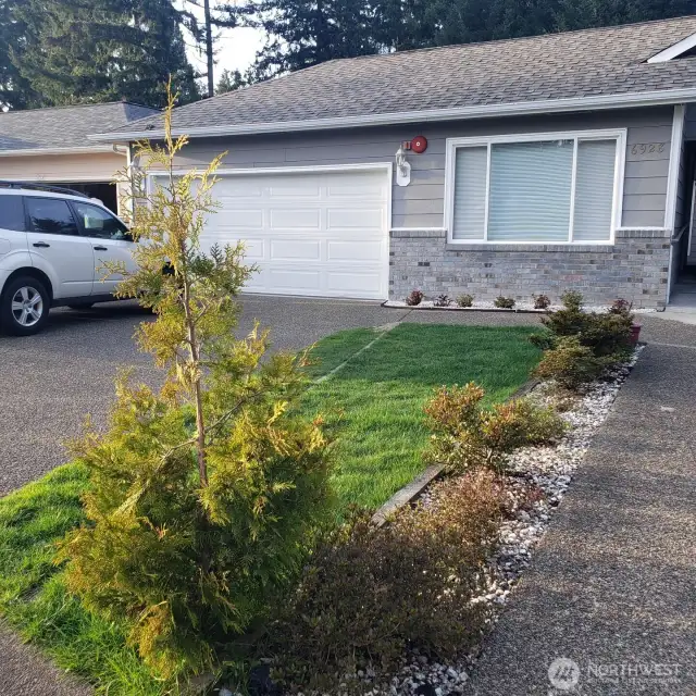 Front Yard