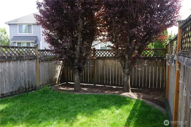 back yard has a concrete area, grass area and is fully fenced.