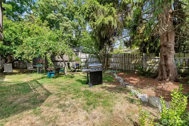 back yard BBQ's waiting for you!