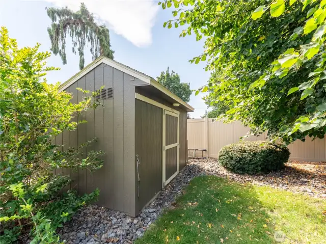Shed in the back yard