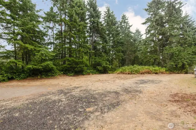 Front yard with natural landscape and mature trees.