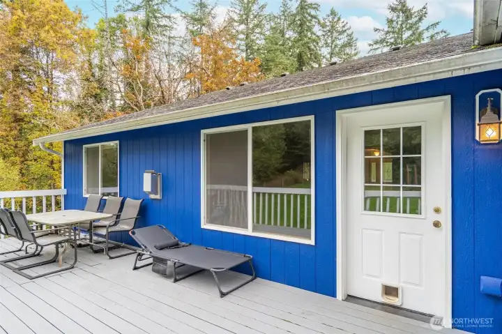 Back Door and Porch
