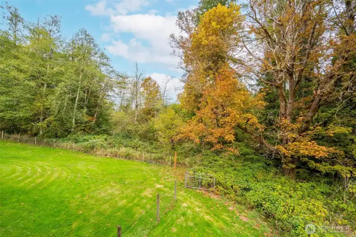 Wooded acres