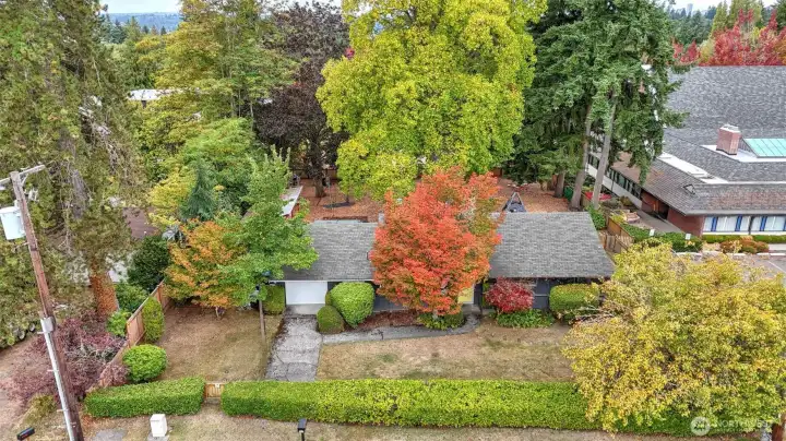 Large, level lot offers endless possibilities.