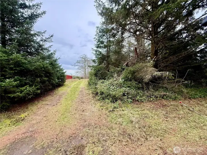 This parcel has been cleared and leveled in the past.