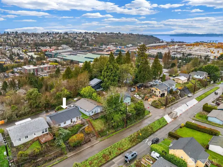 Also known to some as Pigeon Hill, this small pocket neighborhood is one of West Seattle’s best-kept secrets. A mix of eclectic architecture, beloved gardens, winding streets, and genuinely friendly neighbors gives the area a character that feels both vibrant and grounded. It offers that increasingly rare balance of peaceful residential living and exceptional convenience—close enough to downtown Seattle, Alki Beach, and the Alaska Junction to make daily life easy, yet tucked away enough to feel like a world of its own.