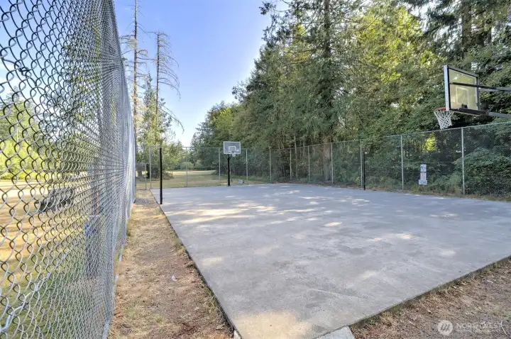 Springer Park basketball