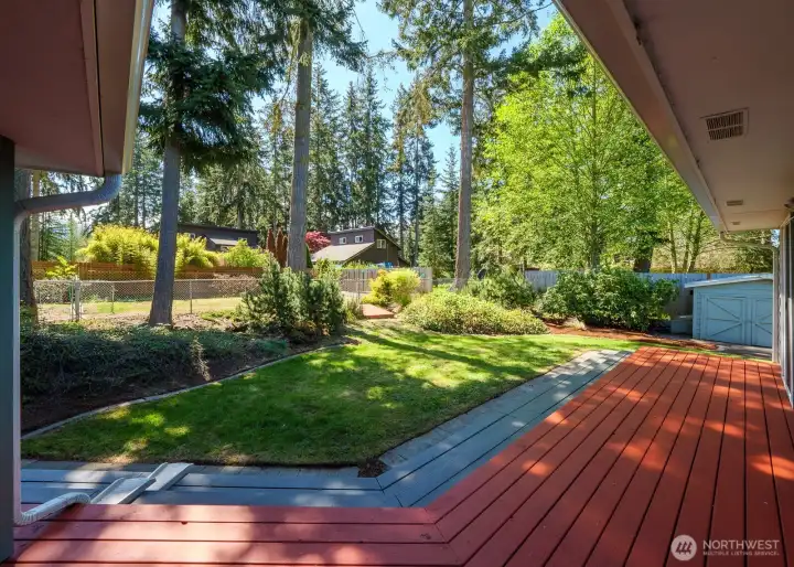 Spacious back deck and steps