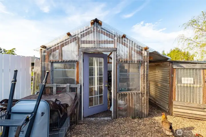 Greenhouse.