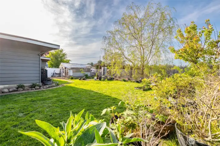 Garden and farm in your own yard.
