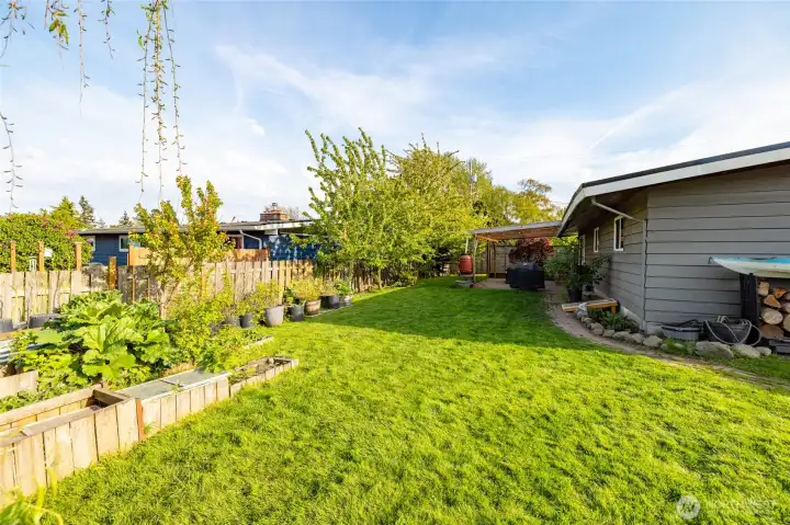 Garden.