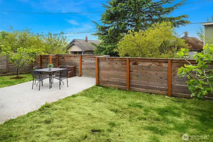 Backyard