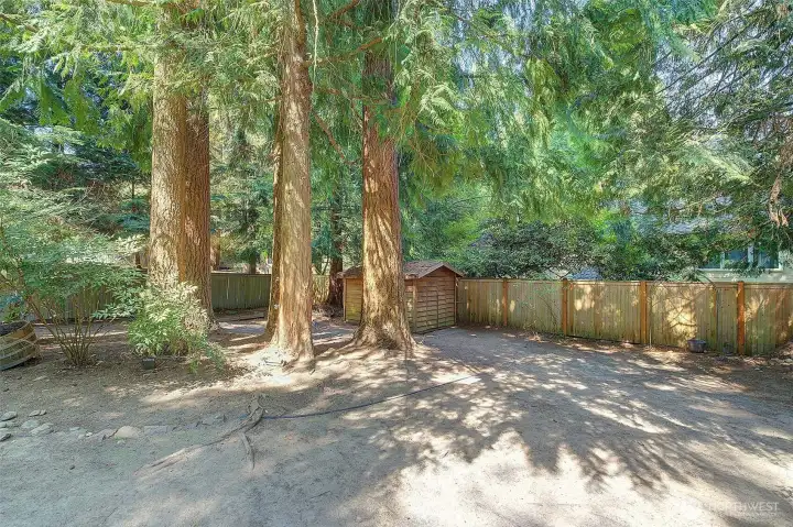 Backyard Backyard