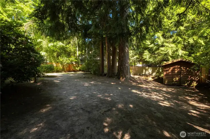 Backyard Shed