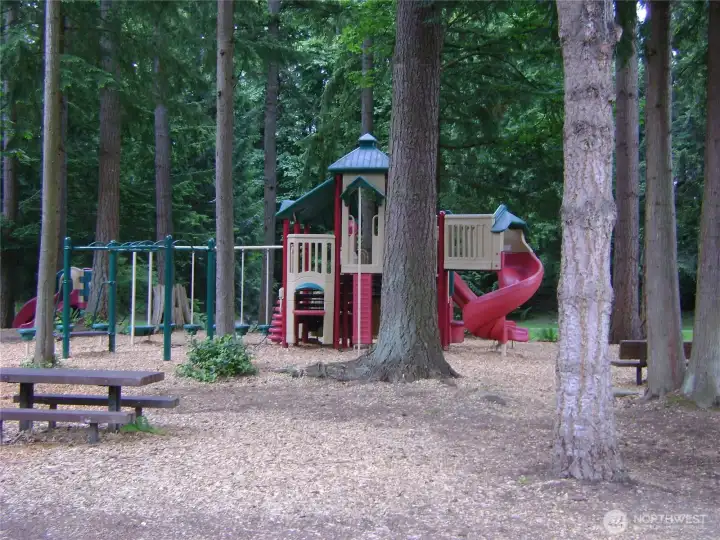 Community Playground