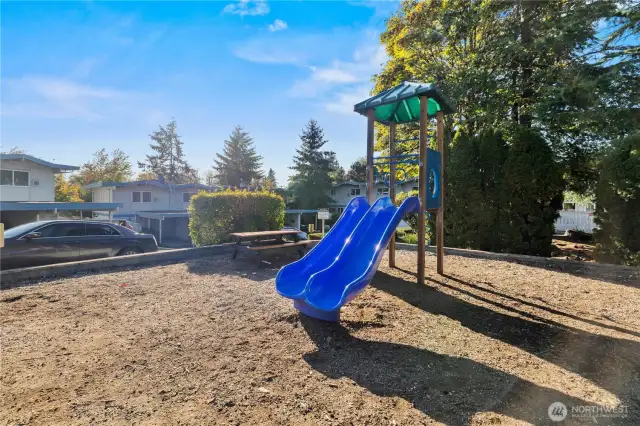 Community park