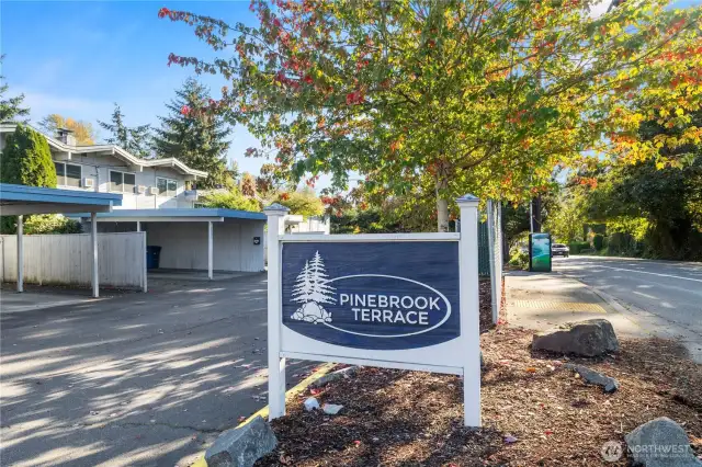 Welcome to Pinebrook