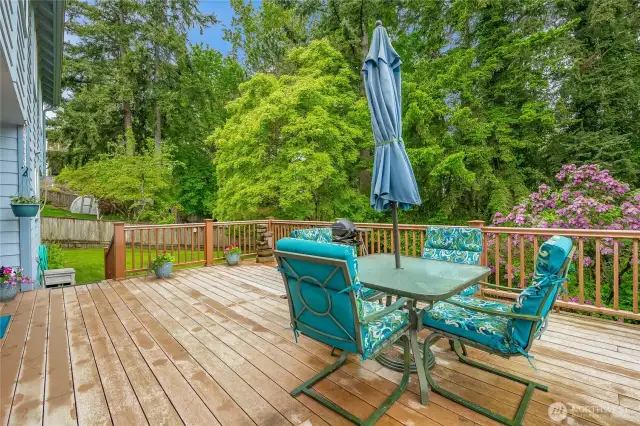 Expansive deck overlooks the backyard and nature preserve green space that the property backs up to.  Gorgeous views of the Canadian mountains and a peek-a-boo view of Bellingham Bay - gorgeous sunsets!