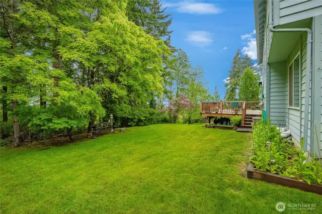 Backyard - backs up to the nature preserve green space. Lots of wildlife to watch.