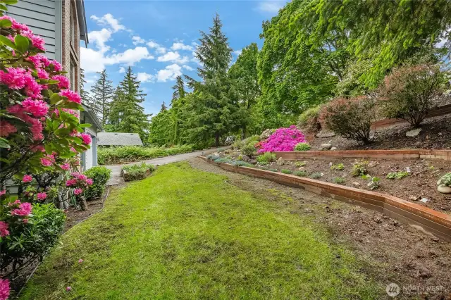Front yard - terraced flowerbeds
