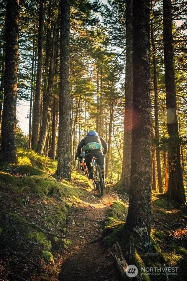 Galbraith Mountain - the best mountain biking trails in the Pacific Northwest!