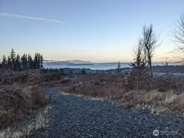Samish Crest Trail - a part of the Samish Crest Open Space has an extensive trail system for hikers, trail runners and mountain bikers alike!