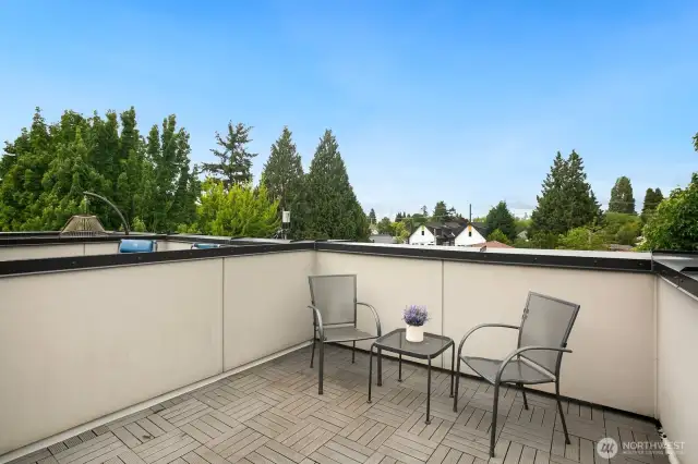 Two roof-top decks - this is the north-side deck
