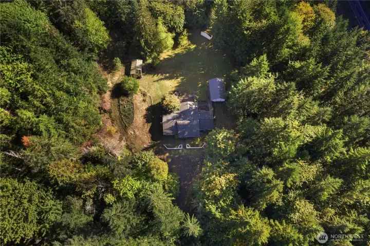 Privacy in the trees.