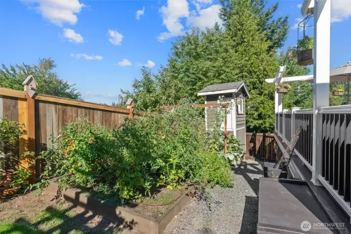 Gardening enthusiasts will appreciate the 5 raised garden beds and mature landscaping, including a variety of hydrangeas, along with flowering trees in the front yard and two Italian plums trees in the back yard, along with ornamental kiwi, blueberries and grapes.