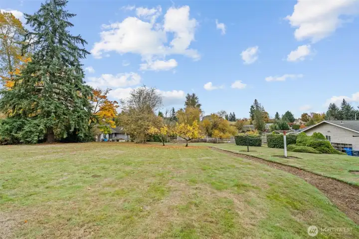 Extra large backyard. Plenty of room