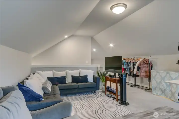 Game/play/theater/craft room, it can do it all