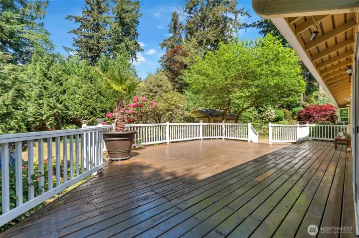 Big deck for summer fun!