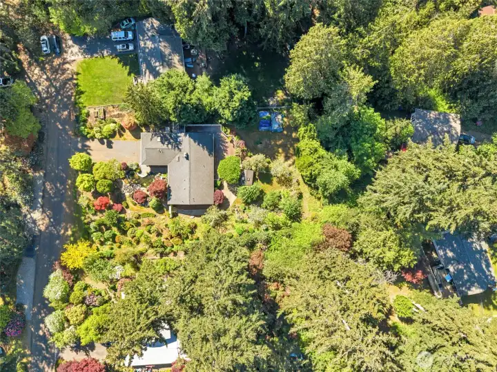 A view from above.